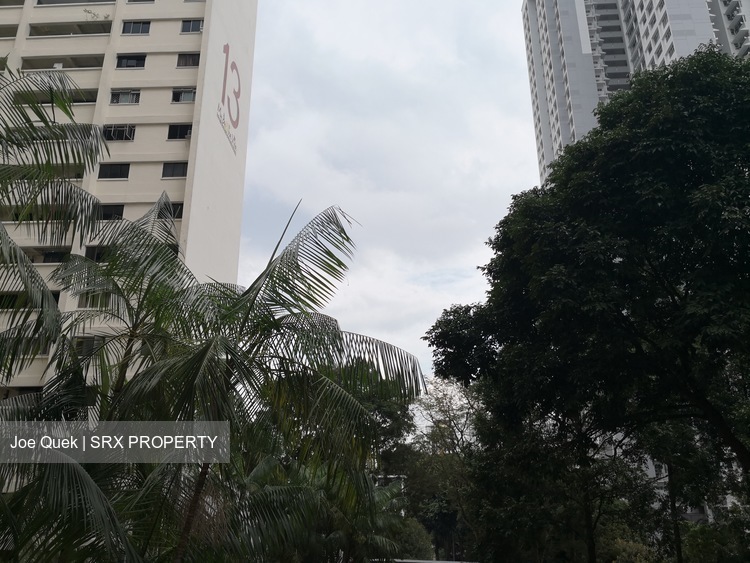 Blk 13 Holland Drive (Queenstown), HDB 4 Rooms #180937142